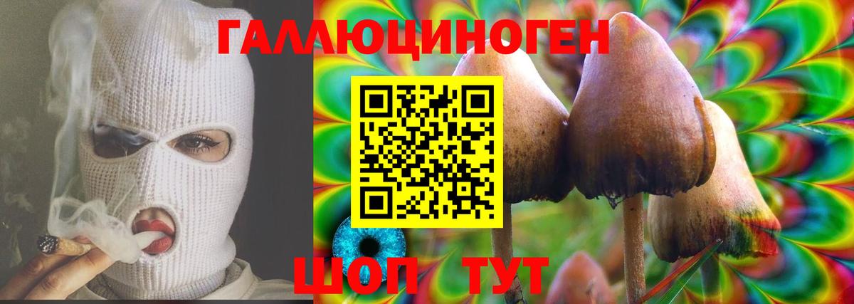 Псилоцибиновые грибы мицелий  Галлюциногенные грибы Psilocybine cubensis  Вход с VPN  цены наркотик  Кашира 